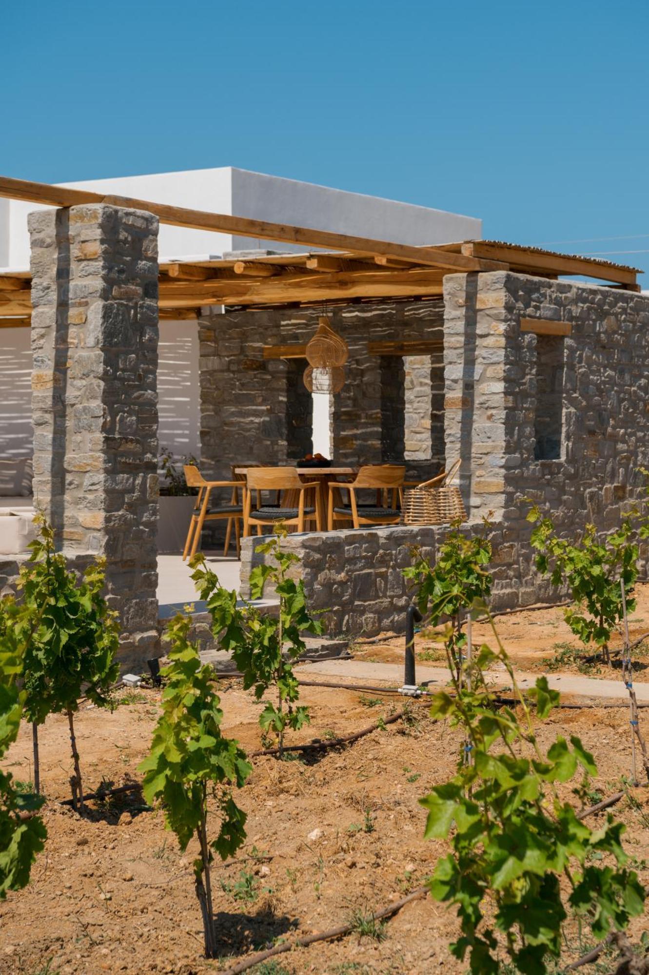 Noble Pearl Villas Paros Santa Maria  Exterior photo